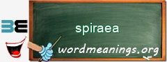 WordMeaning blackboard for spiraea